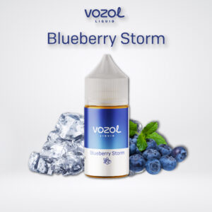 Vozol Blueberry Storm